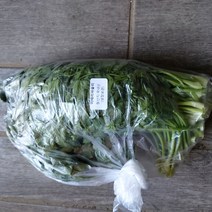 이태리파슬리 100G 국산 이탈리안파슬리 수제간식 향신료, 500G