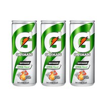 게토레이 240ml/ 10캔, 상세페이지 참조