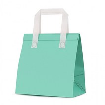 부직포 냉온 쇼핑백가방 민트(22.5cmx26cm) 보냉가방 런치백, 그레이(a)