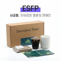 MBTI 다육이 키우기 키트 ESFP, 다육이 선택:유접곡