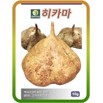 히카마(얌빈)씨앗 500g 멕시코감자씨앗 히까마 히마카 약초 이색희귀종자 콩감자 넝쿨식물
