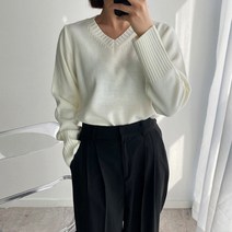브리스살롱 (bs2523) 국내생산 봄 데일리룩 편하게 입는 비비드 컬러 브이넥 니트