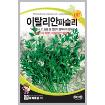 팜스마켓 이탈리안 파슬리 씨앗 종자 200립 파슬리씨 종자, 1.이탈리안 파슬리씨앗 200립