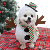 인기 있는 강아지크리스마스양말 인기 순위 TOP50 상품들을 확인하세요