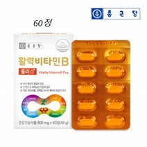 비타민비군 활력 비타민B 복합체 종근당 60정
