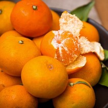 제주 하우스 감귤, 1.5kg(1개), 1개