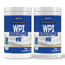 WPI 분리유청단백질분말 400g통 HACCP 인증제품, 2개, 400g