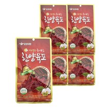 의리있는 국산 한양식품 육포 25g 11개