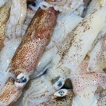 [프로수산]국산 꼴뚜기 1kg 호래기 소 중 대 급속냉동, 1kg(중), 1개
