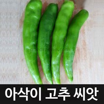 아삭이 고추씨앗 오이고추 씨앗 고추 pepper seed 50알