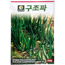 구조파씨앗 20g 옛 조선파 그대로 파 씨앗
