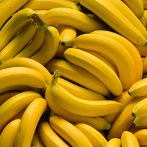 경남 산청 국내산 바나나 2.5kg