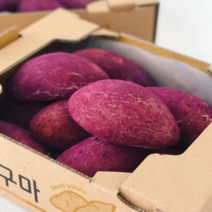 [디저트바이블룸] 수제 찹쌀 고구마빵 10개입 겉쫀속촉 겉빠속촉 영양간식 출출할때 식사 대용, 95g