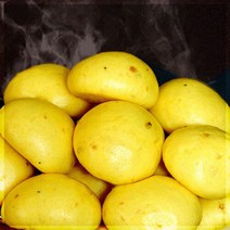 [] 단호박쌀찐빵 60개, 500g