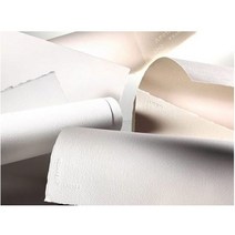 [ILU∂] 캔손아르쉬지 2절 56x76 300g 황목 - 42066 유화용지 미술 수채화 화방 그림 아르쉬 쉬지_№5073EA, 옵션무[#@$]