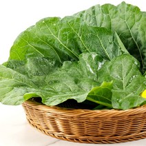 전남 담양 유기농 케일 주스용 2-4kg, 01_전남 담양 유기농 케일 2kg