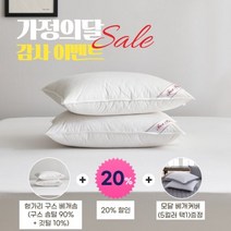 [가정의 달] 프라우덴 헝가리 구스다운 베개솜 (솜털90%) - 600g, 단품