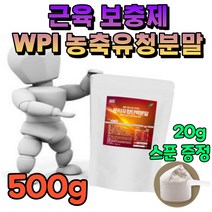 wpi 유당불내증 고 농축 단백 분말 운동 전 후 보충제 식약처 인증 단백질 가루 파우더 헬스 게이너 건강 식품 운동 전 후 미국 직구 500g