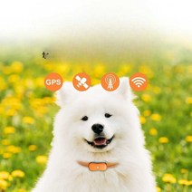 강아지 탐지기 목줄 GPS 위치추적기 산책 목걸이 애견, 4G 블랙