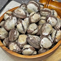 남해안 당일채취 제철 새꼬막 1kg 2kg, 대 1kg+1kg