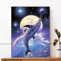 오로라데코덴 캔버스형 보석십자수 40x50cm, MK136 우주 돌고래