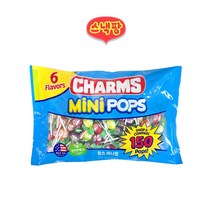 참스 미니팝750g