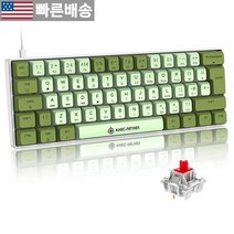 ZIYOU LANG 컴퓨터키보드 소형 기계식 게이밍 키보드 타입c 이어드 PBT 염료 서브 키캡 레인보우 RGB 백릿 60 레이아웃 전체 안티 고스팅 62 타이피스트 노트북 PC, Green Mix/Red Switch, Green Mix/Red Switch