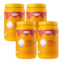있나요 다이어트 프로틴 단백질 보충 식사대용 쉐이크 스트로베리 블로썸맛, 750g, 4개
