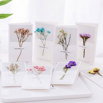 말린꽃카드/드라이플라워 카드/프리저브드플라워 카드*, 민트꽃