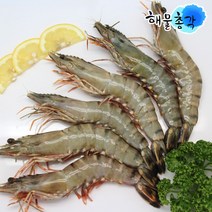 해물총각 흰다리새우 블랙타이거새우 500g, 1팩, 블랙타이거새우 500g 10미(왕특대)