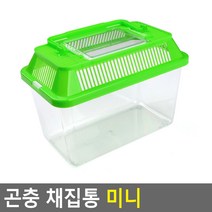 곤충 채집통 미니