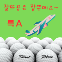 타이틀리스트 Pro V1/V1x 특 A 급 20알 로스트볼
