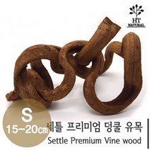 세틀 프리미엄 덩쿨 유목 S (15~20cm), 1개