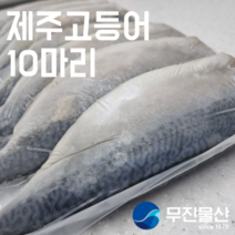 [무진물산] 제주 간고등어 10마리 대사이즈 3.2kg 부산 자반 고갈비 구이 (냉동)