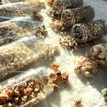 한소픈 여름 장식 소품 자연 미니 조개 소라 껍질 모음 / 여름 바다 디스플레이 인테리어 테마소품 / 어항꾸미기/ 어항조개, 17번