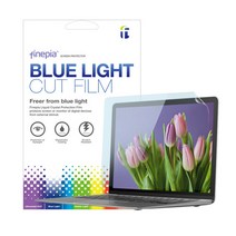 ASUS ROG STRIX G17 G713RM-LL121 블루라이트차단 필름F, 단품