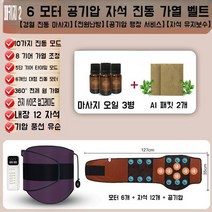 찜질기 전기 온열 6모터 복부 어깨 온열찜질기 원적외선 무릎 충전식, B. 6모터 공기압 자석 진동 벨트 패키지2