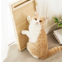 MIAMIA 나무나무 신나 스크래쳐 우드 스크래처 반영구 장난감 대형 소파 원목
