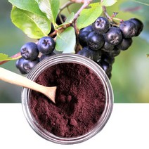 국산 블랙초코베리 아로니아 가루 분말 1kg, 상세페이지 참조