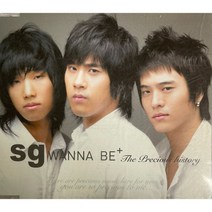 중고CD) SG WANNA BE+ 에스지워너비 - The Precious history (1CD)
