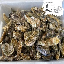 장가네수산 산지직송 통영 생굴 석화 각굴 / 평일오후2시이전까지 당일출발(주말제외), 1box, 석화 10kg