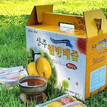 도라지 배즙 신토불이 상주 웰빙농장 도라지배즙 2박스(100팩) 생즙, 100팩, 120ml