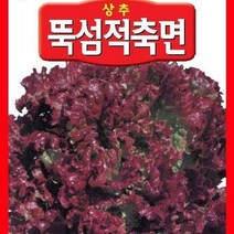[가람종묘사] 뚝섬적축면상추 씨앗(수량성이 높고 맛이 좋은 꽃상추 품종)