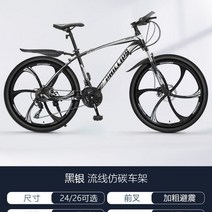 영국 필립스 다혼스피드D9 제트스트림 사바파이크 k3 팻바이크 티티카카 자이언트 giant 펫 SUVD6 몽구스 mtb 유사브롬톤 풀샥, H21단, 24인치
