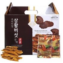 건강중심 장수 상황버섯 진액 엑기스 100ml 60포, 1박스