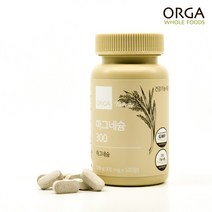 ORGA 올가 풀비타 마그네슘300 900mgX120정