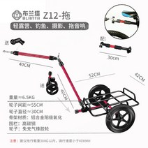 자전거트레일러 오토바이 전기자전거 트레일러 바이크 미니 카고 접이식 짐수레 리어카 낚시 캠핑 큰 바퀴, 나이트블랙Z12-트레일러