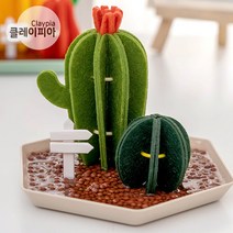 천연가습기 펠트가습기만들기 자연기화식 천연가습제, 01. 선인장