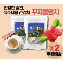 꾸지뽕차 환절기 대용량 가정 식수대용 건강차 카페인프리 한방 침출차 / 삼각티백 한방 약초잎차 / 식후 디저트 고급차 손님 접대용 맛좋은 티 차 / 탕비실 음료 korea tea, 2봉(60티백X2)