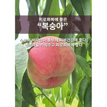 복숭아묘목/백도/ 천도/ 황도/ 다양한 품종/ 신품종/ 유실수/ 복숭아/ 채움원예종묘, 전화문의 또는 홈페이지 구매
